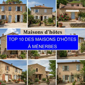 Top 2 des Maisons d'hôtes à Ménerbes