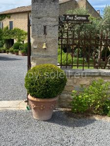 Mas Serena à Ménerbes